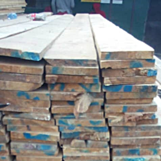 200x25x5m White Wood Pine Timber