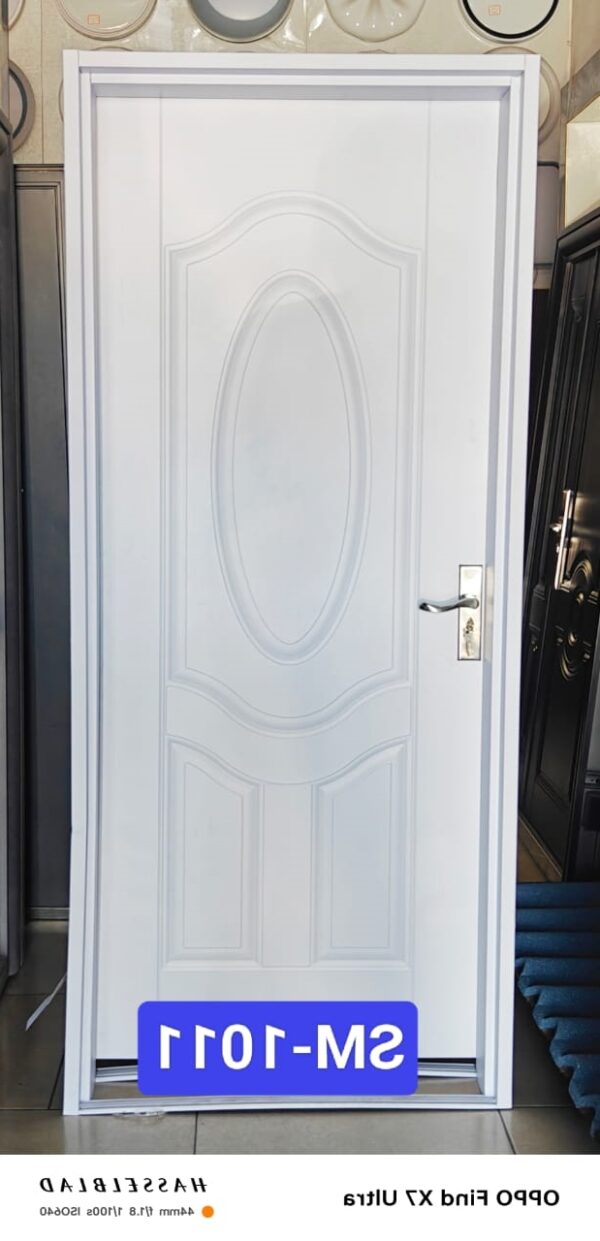 SM - 1011 LEFT Steel Flush Door