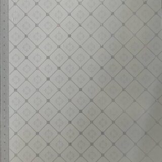 PVC Ceilings #014