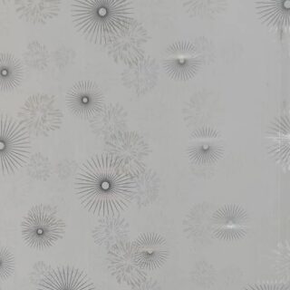 PVC Ceilings #025