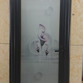 Bathroom Door No. 6 Single Glass
