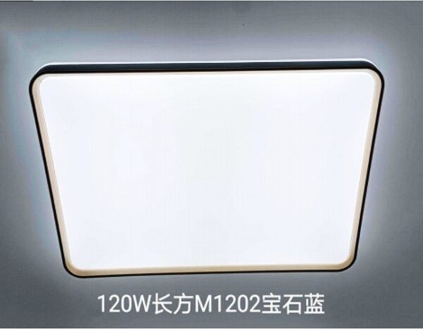 D-10 Light