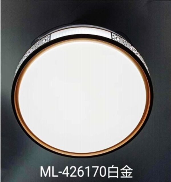 D-09 Round Light