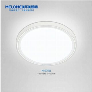 D-21 Light