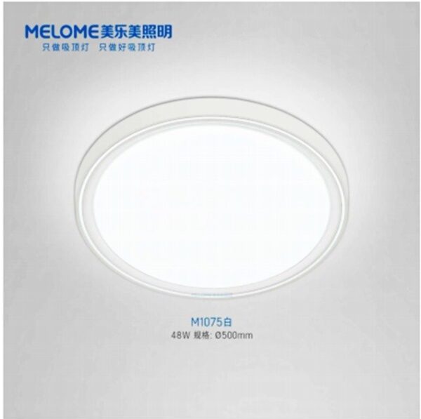 D-21 Light