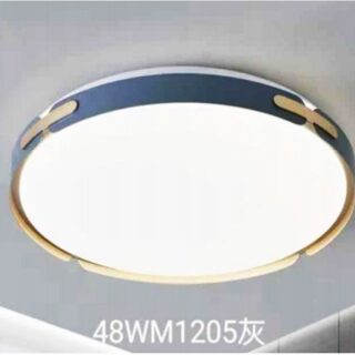 D-25 Light