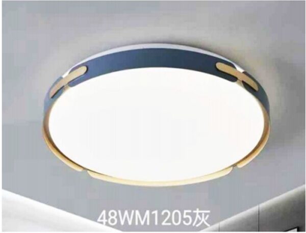 D-25 Light
