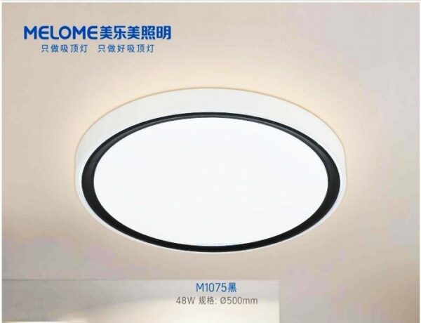 D-23 Light