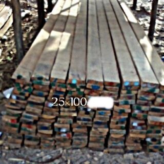 25x100x5m White Wood Pine Timber