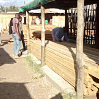50x50x5m White Wood Pine Timber